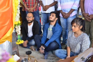 Ekkadiki Pothavu Chinnavada Movie Success Tour